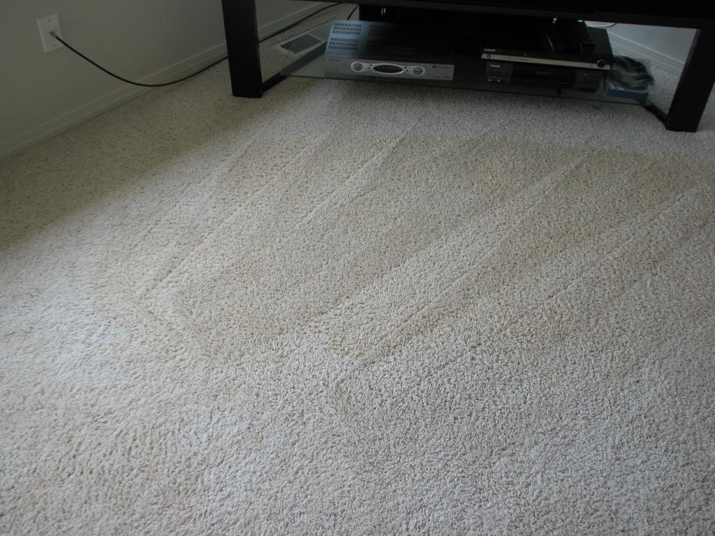 CleaningCleanCarpet 1