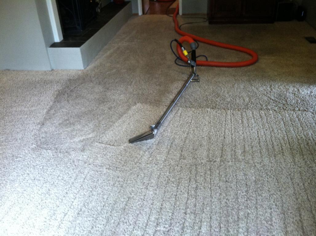 CleaningCleanCarpet 2